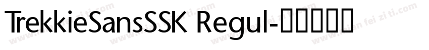 TrekkieSansSSK Regul字体转换
